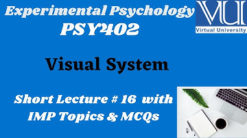 Experimental Psychology (PSY402) | Short lecture # 16 |Visual System