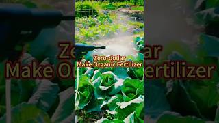 #ecofriendly #fertilizer #gardening #ecofriendly #fertilizer #gardening