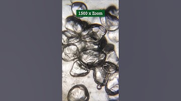 👈🏻This is CUCUMBER 🥒 #shorts #cucumber #zoom #microscope