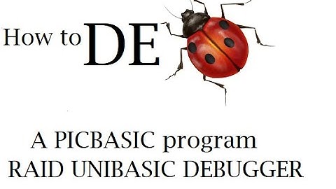 How to debug a PICKBASIC program | PICK BASIC debugger | RAID