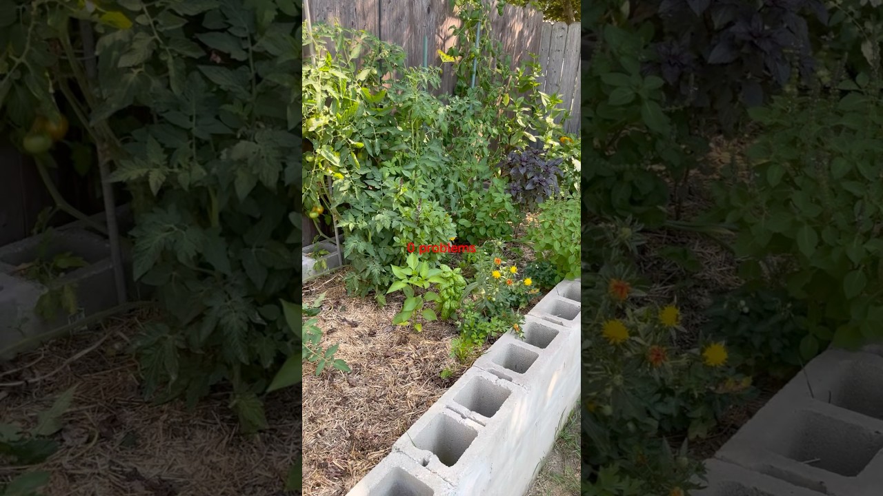 When Im in my garden 😴 