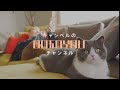 予告編／行かなきゃ損な場所