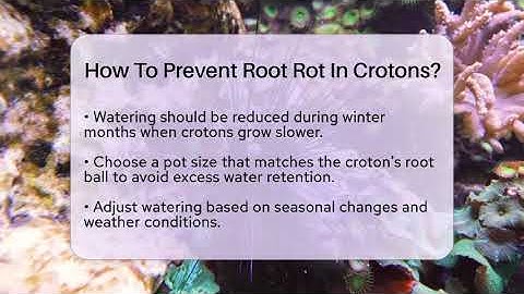 How To Prevent Root Rot In Crotons? - The Plant Enthusiast