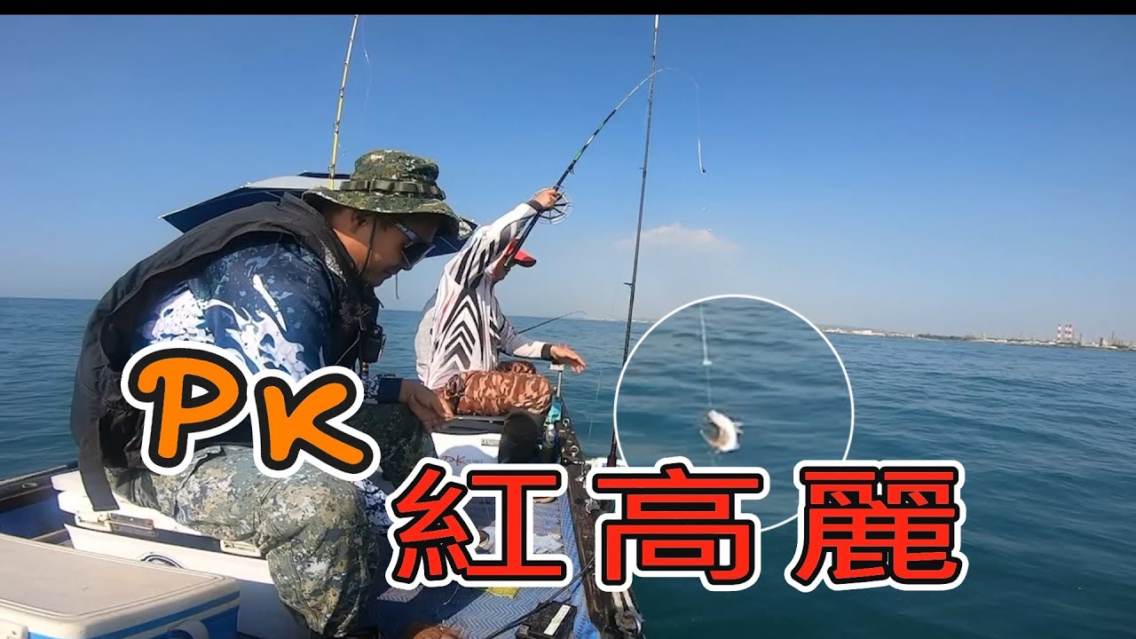 #釣魚 #泡棉船 #東港 #紅高麗#馬兒叔叔愛釣魚