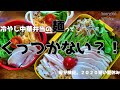 【高校生男子弁当】検証・暑くて食が進まない息子に作る夏のお弁当