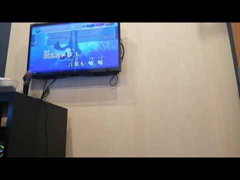 【アディショナルメモリー/じん】カラオケ 歌ってみた