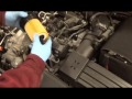 DIY - Change oil in a VW TDI (Passat, Jetta, etc.)