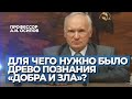 Почему Бог создал «Древо познания добра и зла», если знал, что Адам и Ева падут? — Осипов А.И.