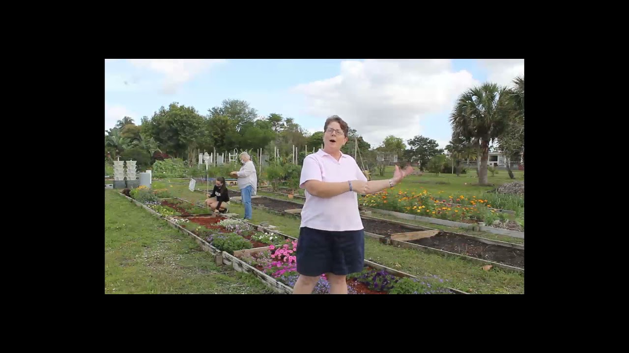 UF IFAS FLREC Trial garden 2021