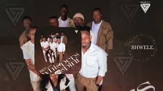 Vocality Acapella  Shwele visualizer