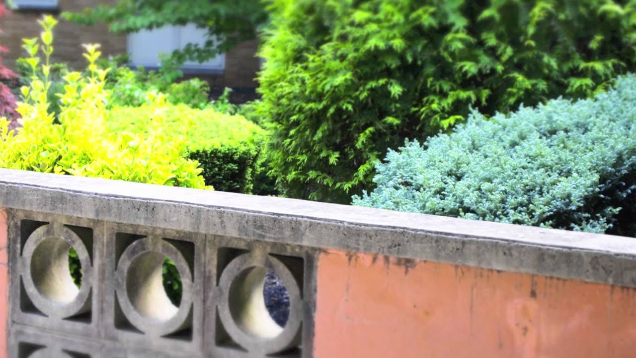 POL REVUE Reconsecrates " THE UNIVERSAL AXIAL MECHANISM " Christico Terrestric Catalyses