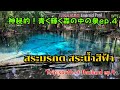 神秘の森に佇む青い泉 南タイの旅4/A blue pool in a mysterious forest Southern Thailand Trip 4【EP.196】