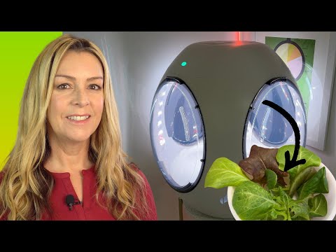 Is Miruplanttt The Future Of Indoor Gardening?