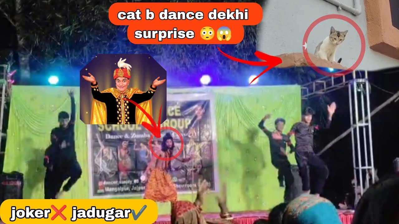 Joker❌ Jadugar ✅ //cat b dance dekhi surprise 😳😱 //Rani_Raja_Vlogs