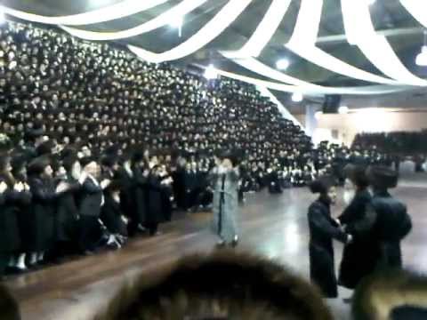Bobov Wedding 2012 