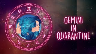 Gemini In Quarantine I The Hauterfly
