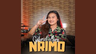 Download Lagu Nrimo MP3