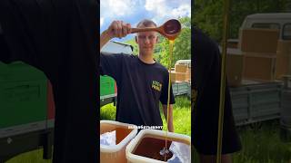 🍯 Почему мёд лучше химии? #мед #вкусно #советы