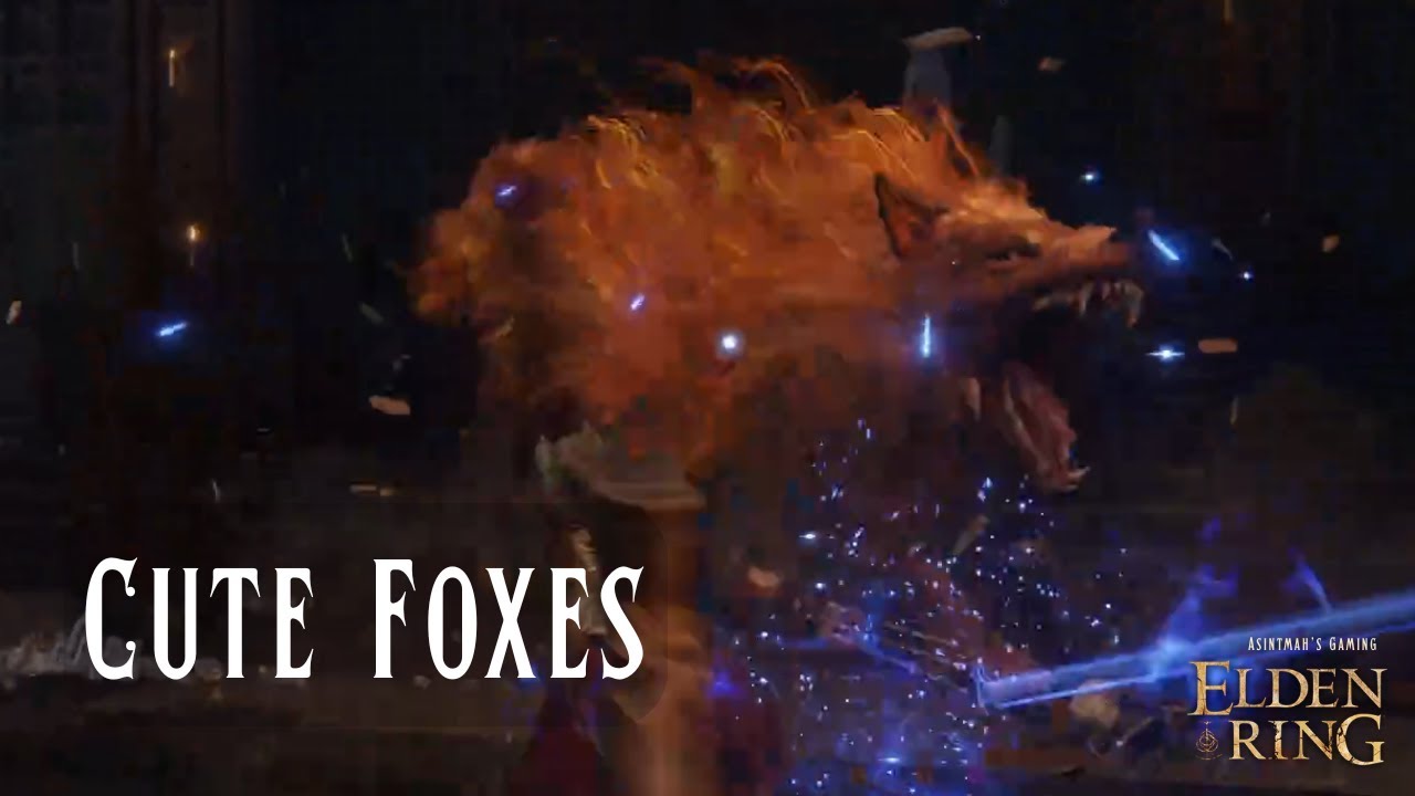 Red Wolf of Radagon | ELDEN RING