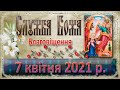 Служба Божа. 7 квітня 2021 р.