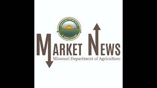 Daily Market Report October 17, 2024 screenshot 5