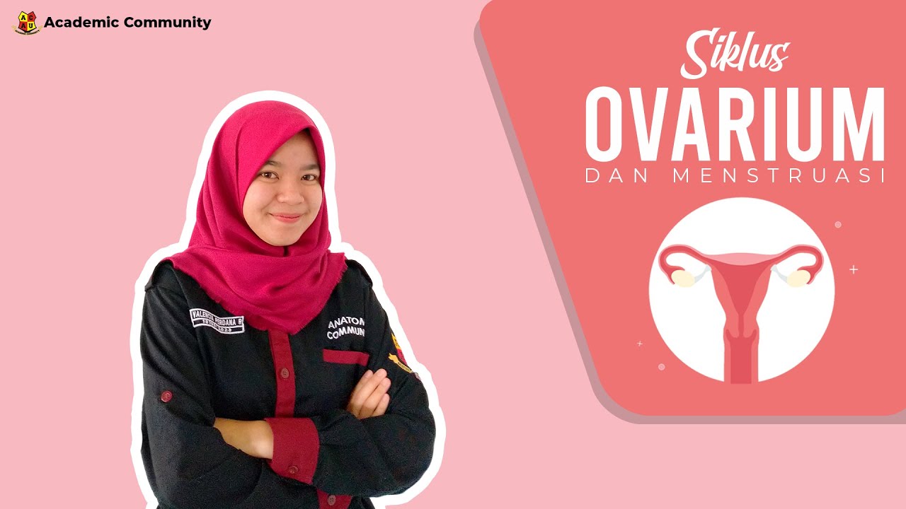 siklus-ovarium-dan-menstruasi-physiology-video-eps-04-youtube