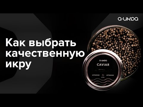 Все о черной икре за 5 минут. Как отличить качественную икру от подделки? Как выбрать икру / 16+