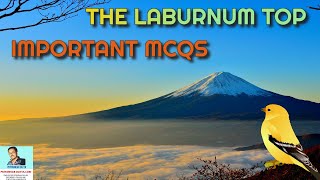 The Laburnum Top Mcqs  - The Laburnum Top Class 11 Mcq