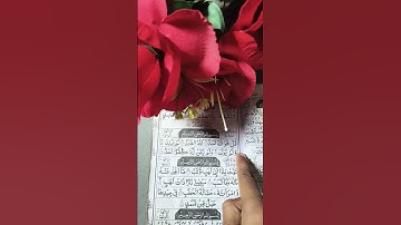 #سورة_الإخلاص #اكسبلور #المصحف