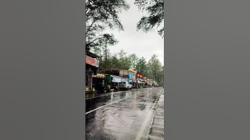 Hutan Pinus Malino di Saat Hujan