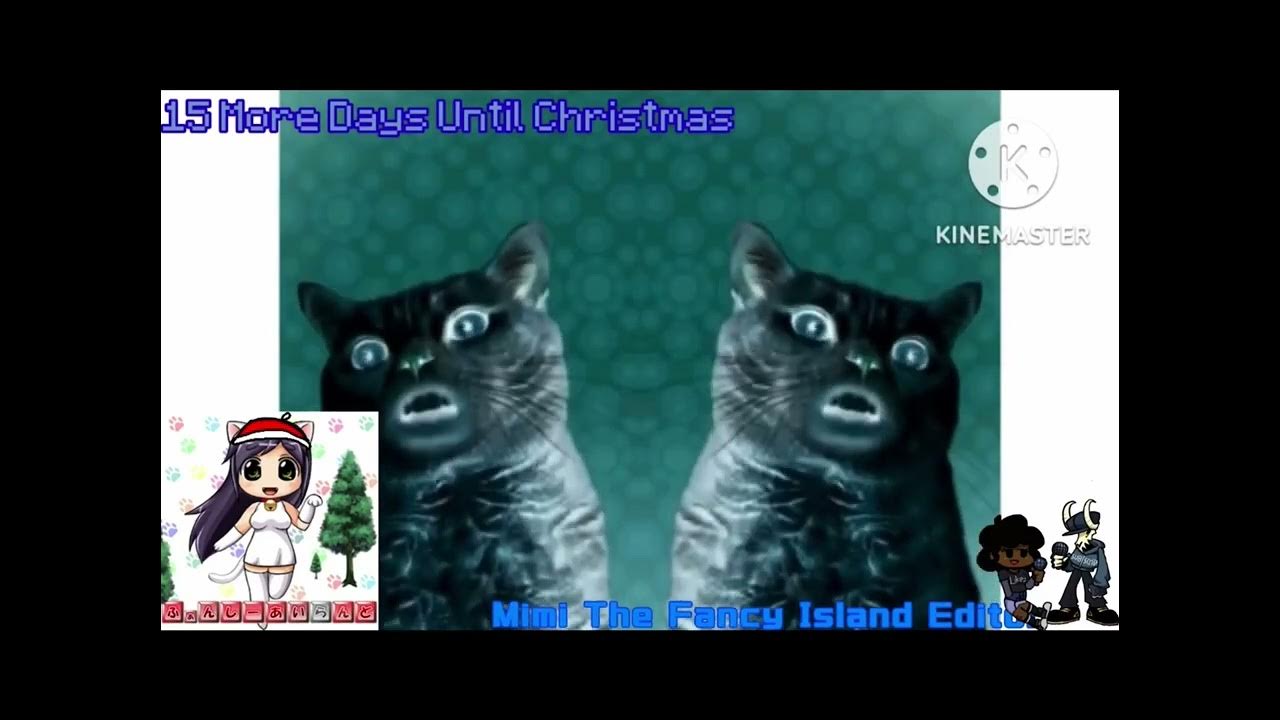 Preview 2 numa cat effects. Preview 2 numa cat effects
