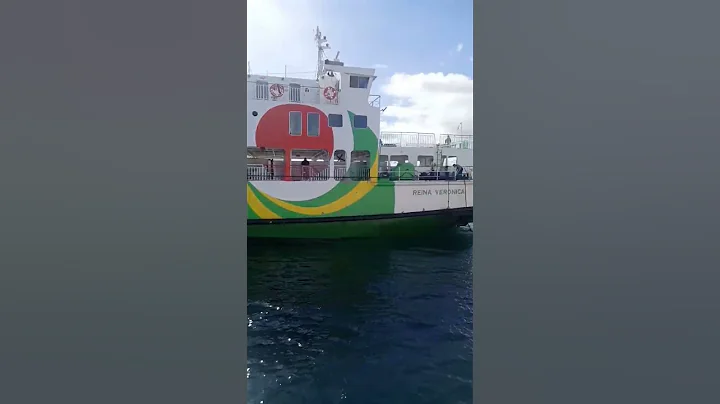 RORO Vessel Docking Maneuver