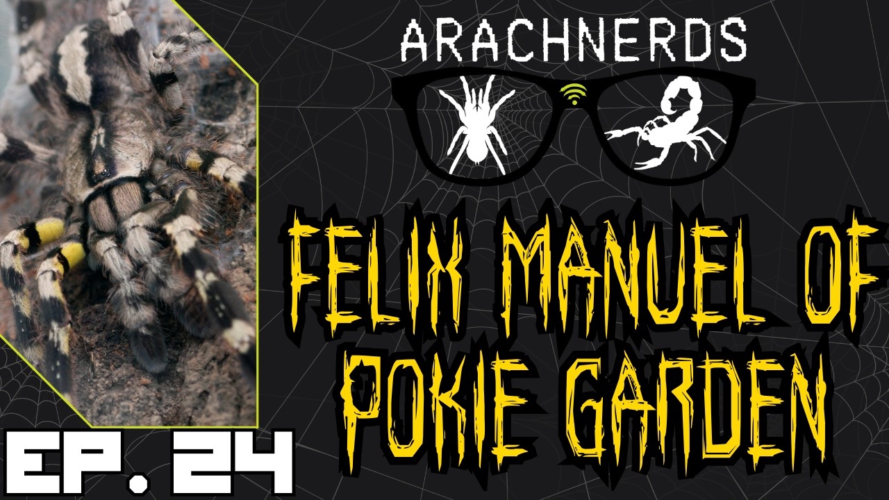 Felix Manuel of Pokie Garden | ArachNerds Ep. 24
