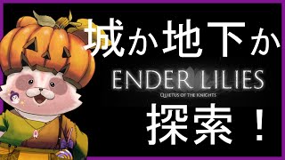 【ENDERLILIES】続きが気になって気になって・・・！