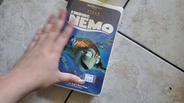 3 Different Versions of Finding Nemo