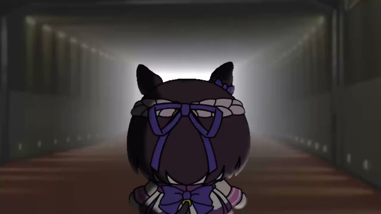 たぬき - YouTube