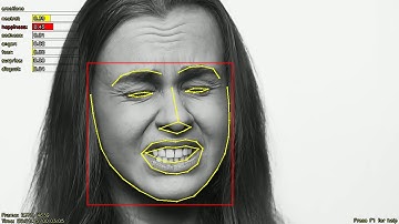 Tests of Emotions Detection from a Video