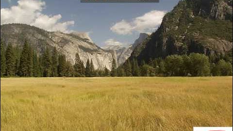 how to download movies with bitcomet application