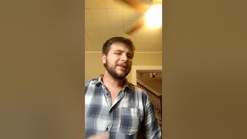 Enriched Virtual Model