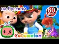 Учимся завязывать шнурки | Сборник 1 час | CoComelon на русском — Детские песенки