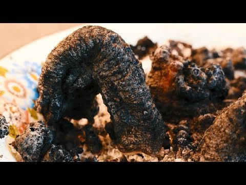 შავი გველი  •  ექსპერიმენტი