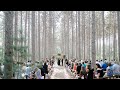 Emotional Wedding in the Woods | Makayla & Dillon’s Wedding Trailer