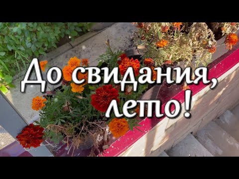 До свидания, лето! Здравствуй, осень! Красивая музыкальная открытка