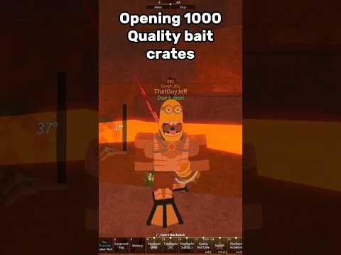 I opened 1000