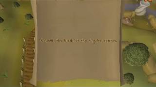 Search the bush at the digsite centre OSRS