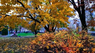 Футаж Осень В Городе. Красивые Осенние Пейзажи, Пожелтевшие Деревья, Опавшие Листья. Видеофутажи