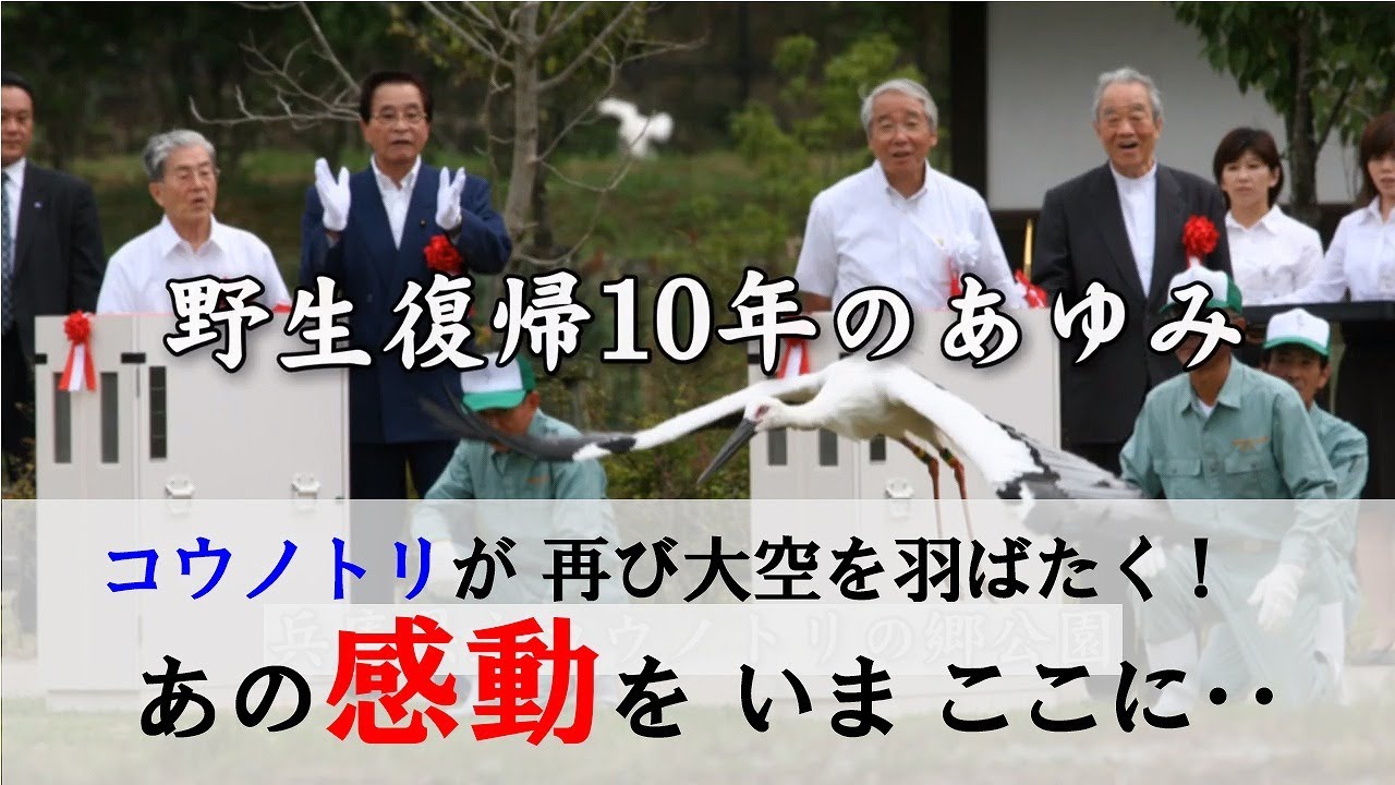 野生復帰10年のあゆみ