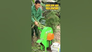 Máy Thái Chuối C600 Bình An | Băm đa dạng cỏ voi, thân cây ngô, rau, bèo năng suất cao