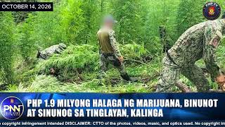 Php1.9 Milyong Halaga ng Marijuana, Binunot at Sinunog sa Tinglayan, Kalinga #procar