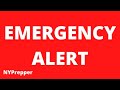 Emergency alert ambassadors flee russia lithuania holds curfew drills